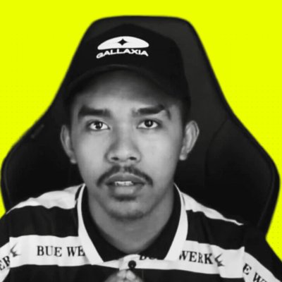 Gallaxia co-owner